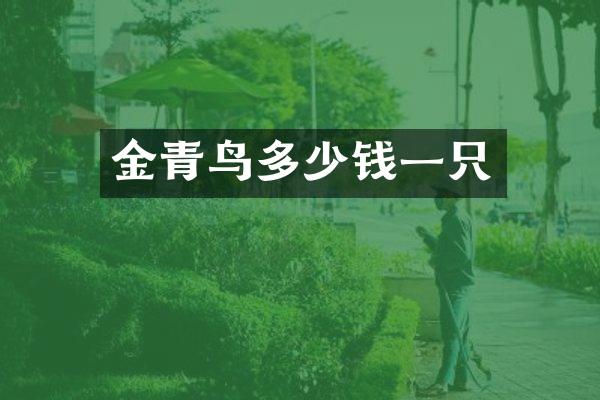 金青鸟多少钱一只