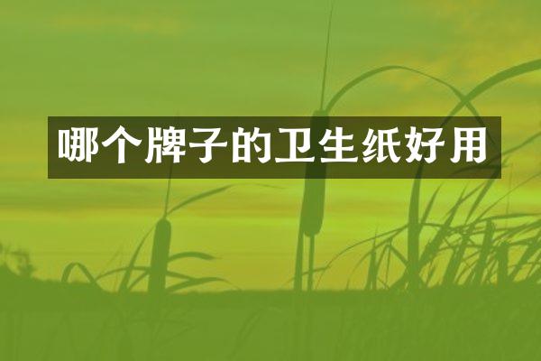 哪个牌子的卫生纸好用