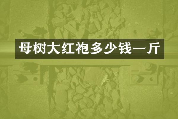 母树大红袍多少钱一斤