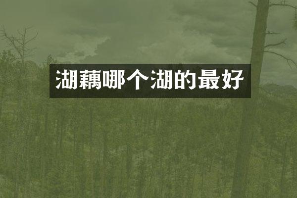 湖藕哪个湖的最好