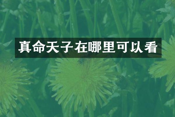 真命天子在哪里可以看