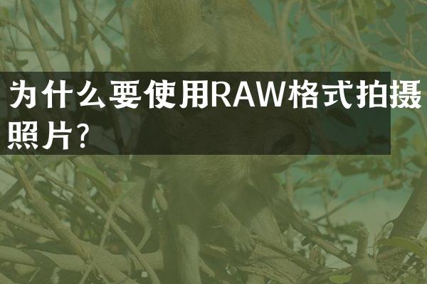为什么要使用RAW格式拍摄照片？