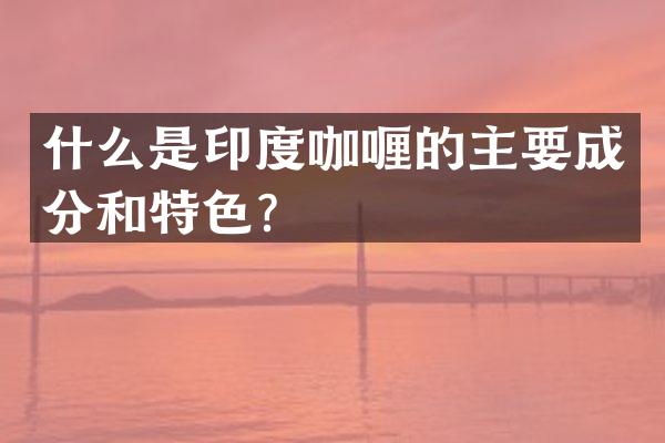 什么是印度咖喱的主要成分和特色？
