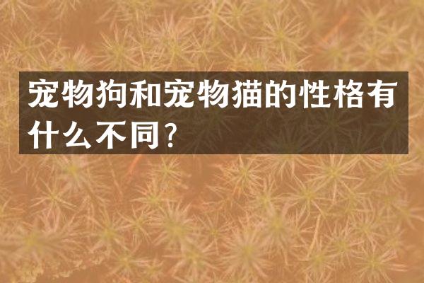 宠物狗和宠物猫的性格有什么不同？