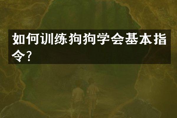 如何训练狗狗学会基本指令？