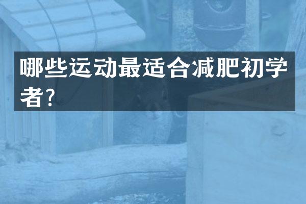 哪些运动最适合减肥初学者？