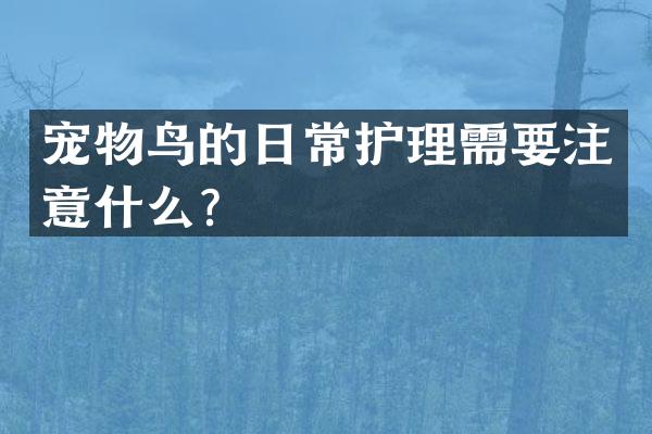 宠物鸟的日常护理需要注意什么？