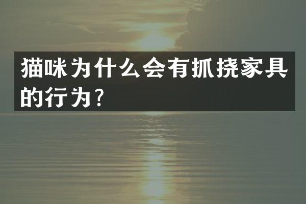 猫咪为什么会有抓挠家具的行为？