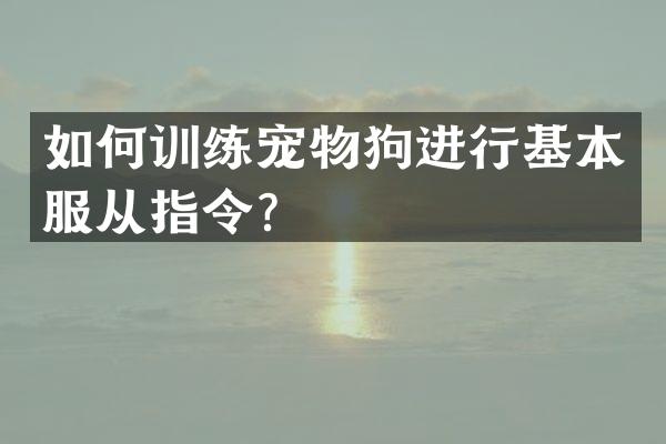 如何训练宠物狗进行基本服从指令？