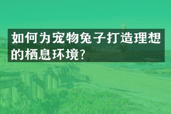 如何为宠物兔子打造理想的栖息环境？
