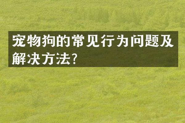 宠物狗的常见行为问题及解决方法？