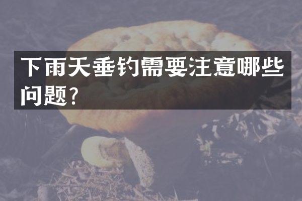 下雨天垂钓需要注意哪些问题？