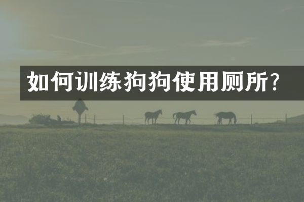 如何训练狗狗使用厕所？