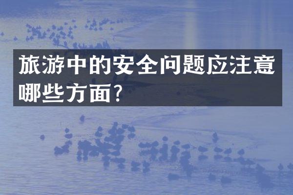 旅游中的安全问题应注意哪些方面？