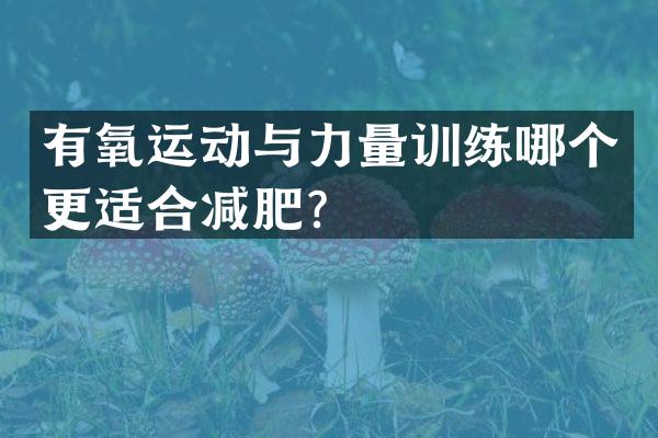 有氧运动与力量训练哪个更适合减肥？