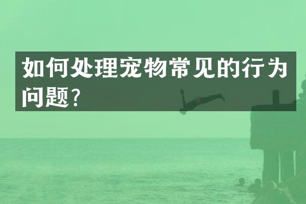 如何处理宠物常见的行为问题？