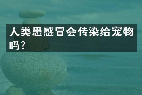 人类患感冒会传染给宠物吗？