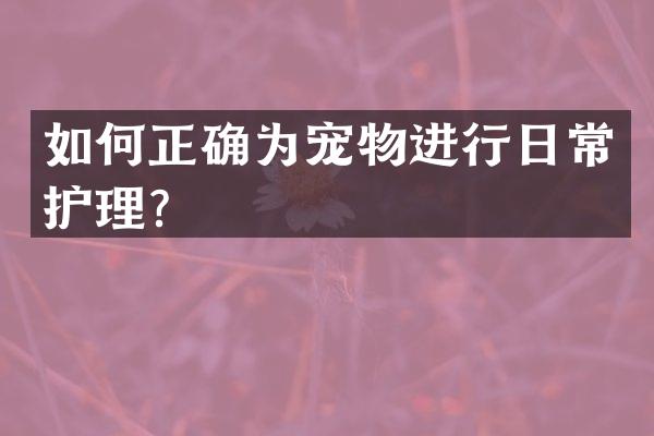如何正确为宠物进行日常护理？