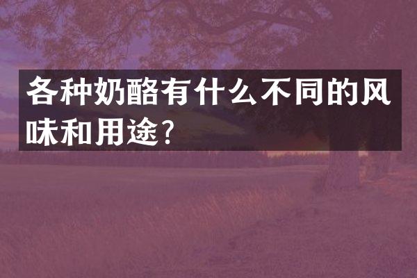 各种奶酪有什么不同的风味和用途？
