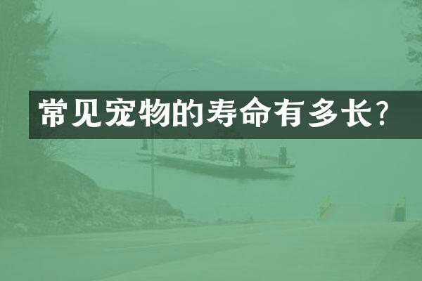 常见宠物的寿命有多长？