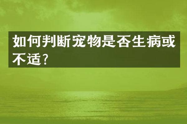 如何判断宠物是否生病或不适？