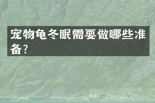 宠物龟冬眠需要做哪些准备？