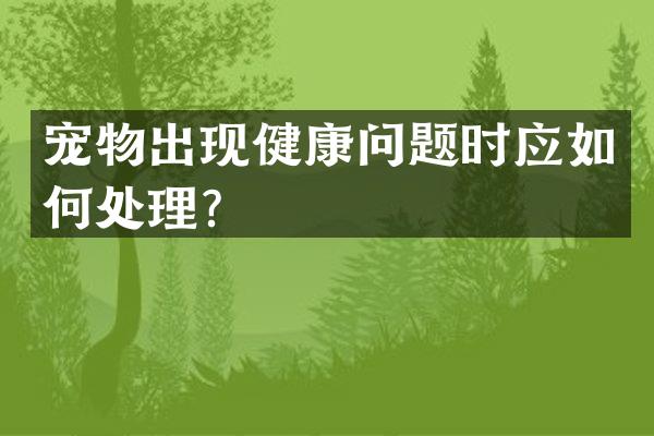 宠物出现健康问题时应如何处理？
