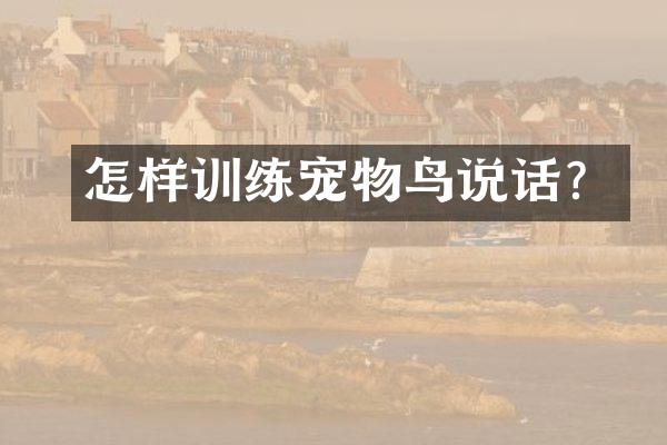 怎样训练宠物鸟说话？