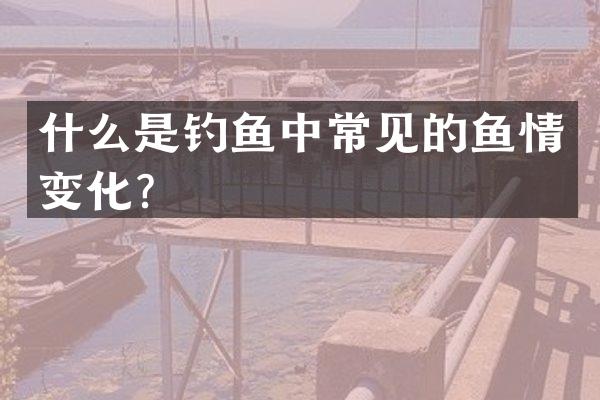 什么是钓鱼中常见的鱼情变化？