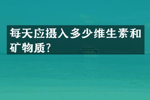 每天应摄入多少维生素和矿物质？