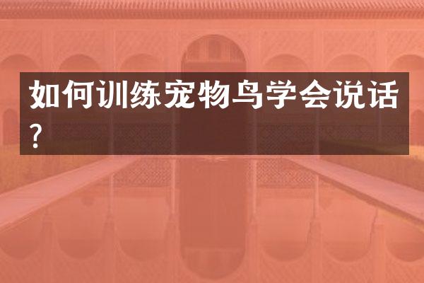 如何训练宠物鸟学会说话？
