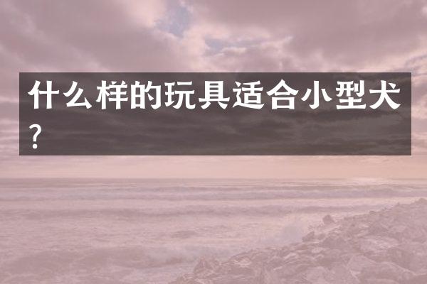 什么样的玩具适合小型犬？