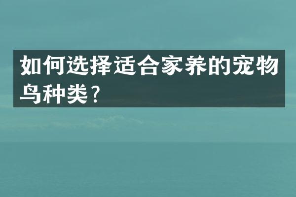 如何选择适合家养的宠物鸟种类？