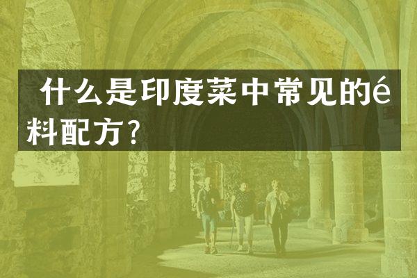  什么是印度菜中常见的香料？