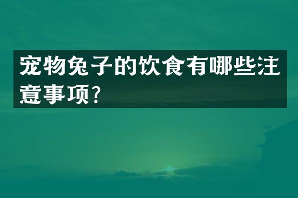 宠物兔子的饮食有哪些注意事项？