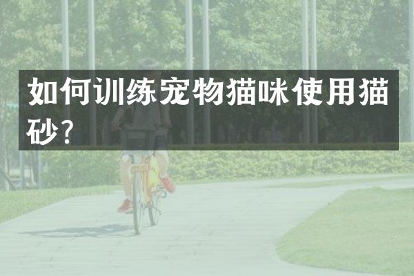 如何训练宠物猫咪使用猫砂？