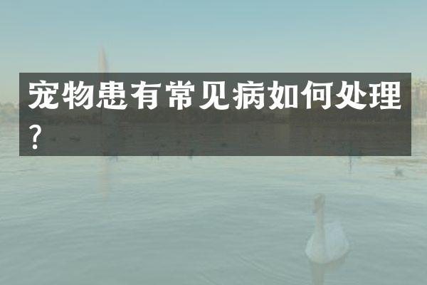 宠物患有常见病如何处理？