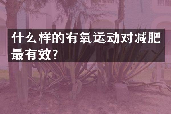 什么样的有氧运动对减肥最有效？