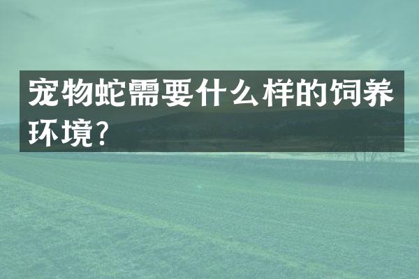 宠物蛇需要什么样的饲养环境？
