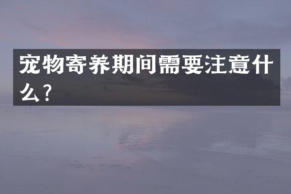 宠物寄养期间需要注意什么？