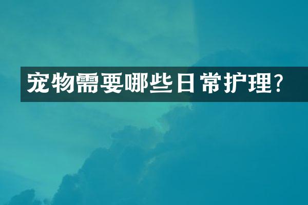 宠物需要哪些日常护理？