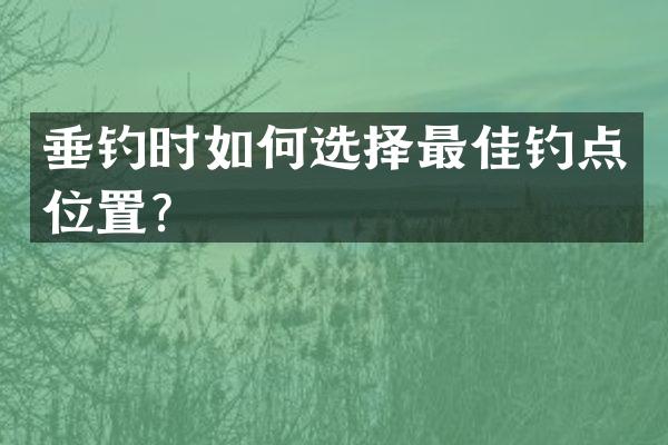垂钓时如何选择最佳钓点位置？
