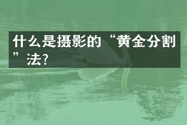 什么是摄影的“黄金分割”法？