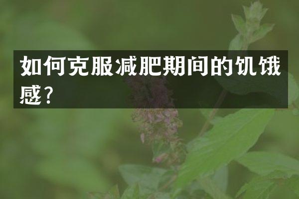 如何克服减肥期间的饥饿感？