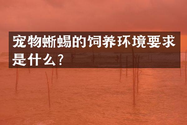 宠物蜥蜴的饲养环境要求是什么？