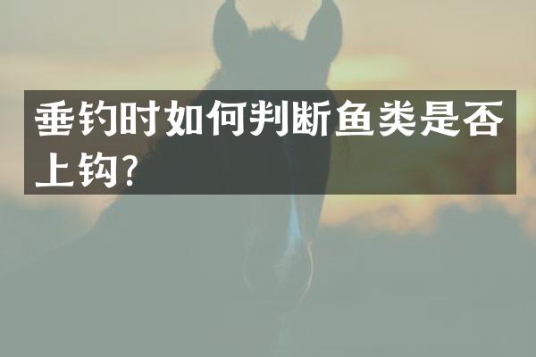 垂钓时如何判断鱼类是否上钩？