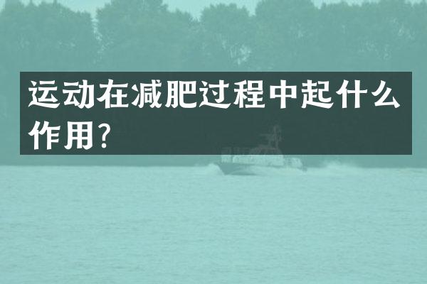 运动在减肥过程中起什么作用？