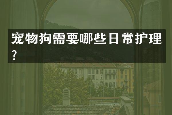 宠物狗需要哪些日常护理？