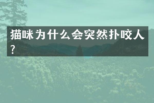猫咪为什么会突然扑咬人？