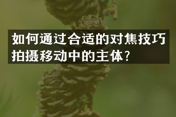 如何通过合适的对焦技巧拍摄移动中的主体？